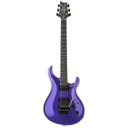 PRS Tekton Floyd Purple Royale vue de face