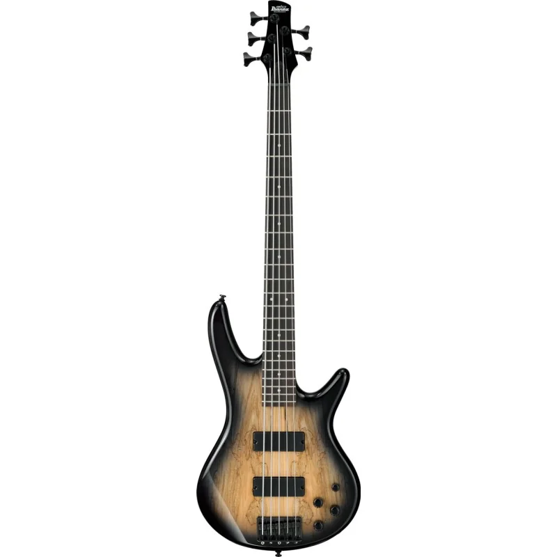 Ibanez GSR205SM Natural Gray Burst vue de face