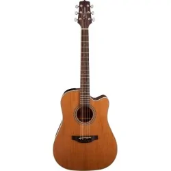 Takamine GD20-CE-NS Takamine GD20-CE-NS