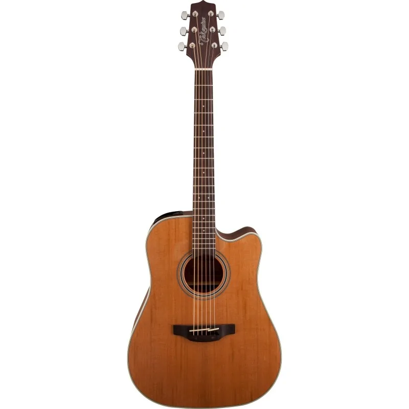 Takamine GD20-CE-NS