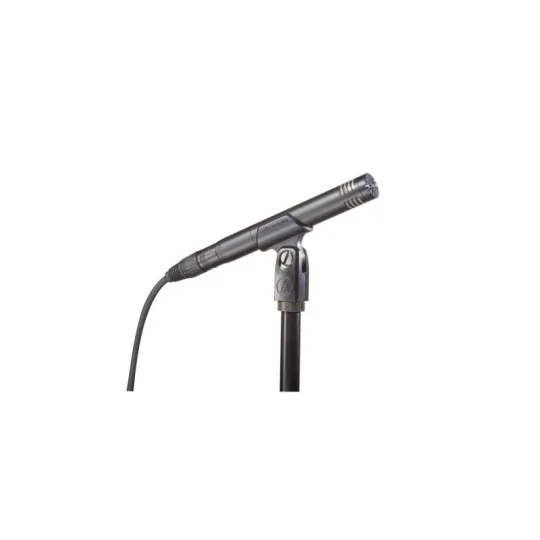 Audio Technica AT-2031